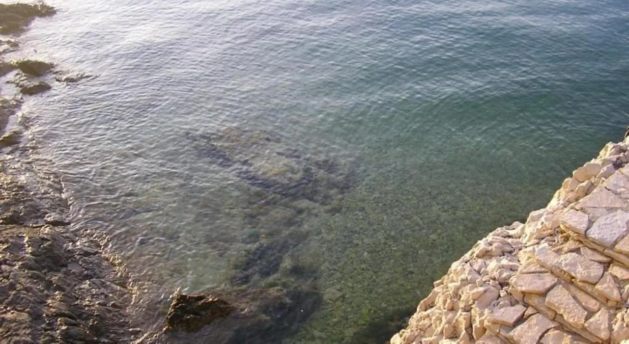 Apartments Eden - 30M From The Sea Slatine